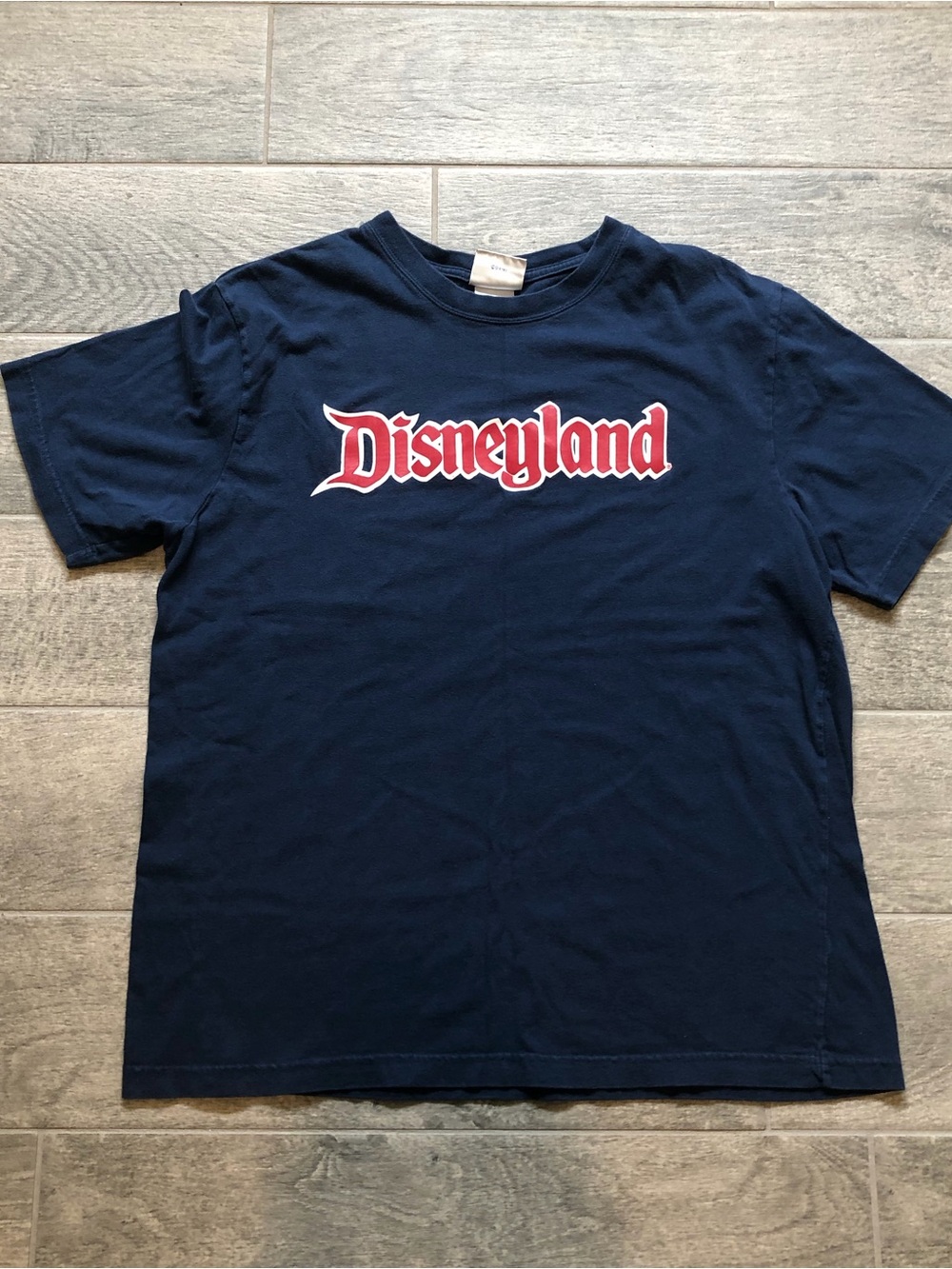 Vintage Y2K Disneyland Resort Graphic T-Shirt Disneyland Spell Out Adult Size L